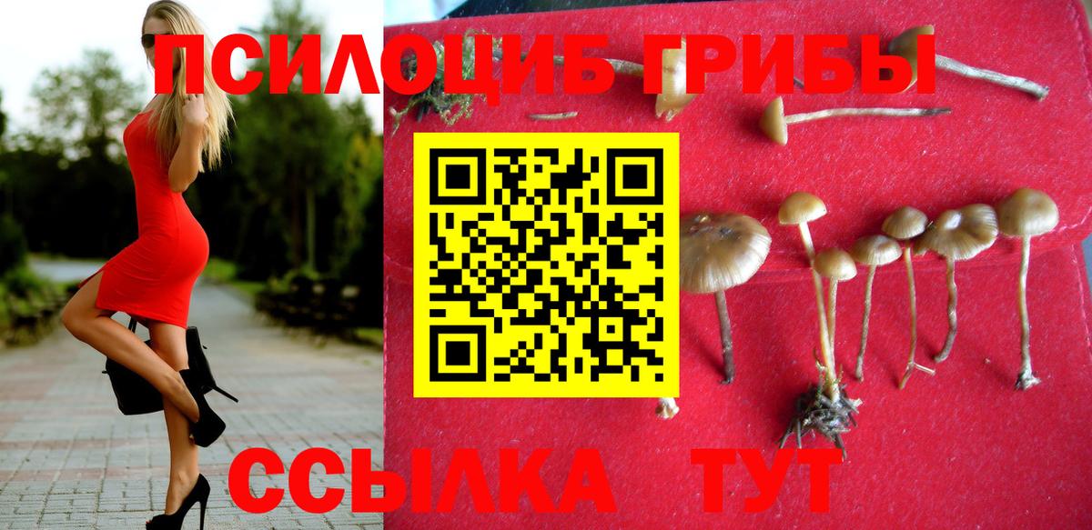 Галлюциногенные грибы MAGIC MUSHROOMS  Вход с VPN  Псилоцибиновые грибы Cubensis  цены   Шелехов 